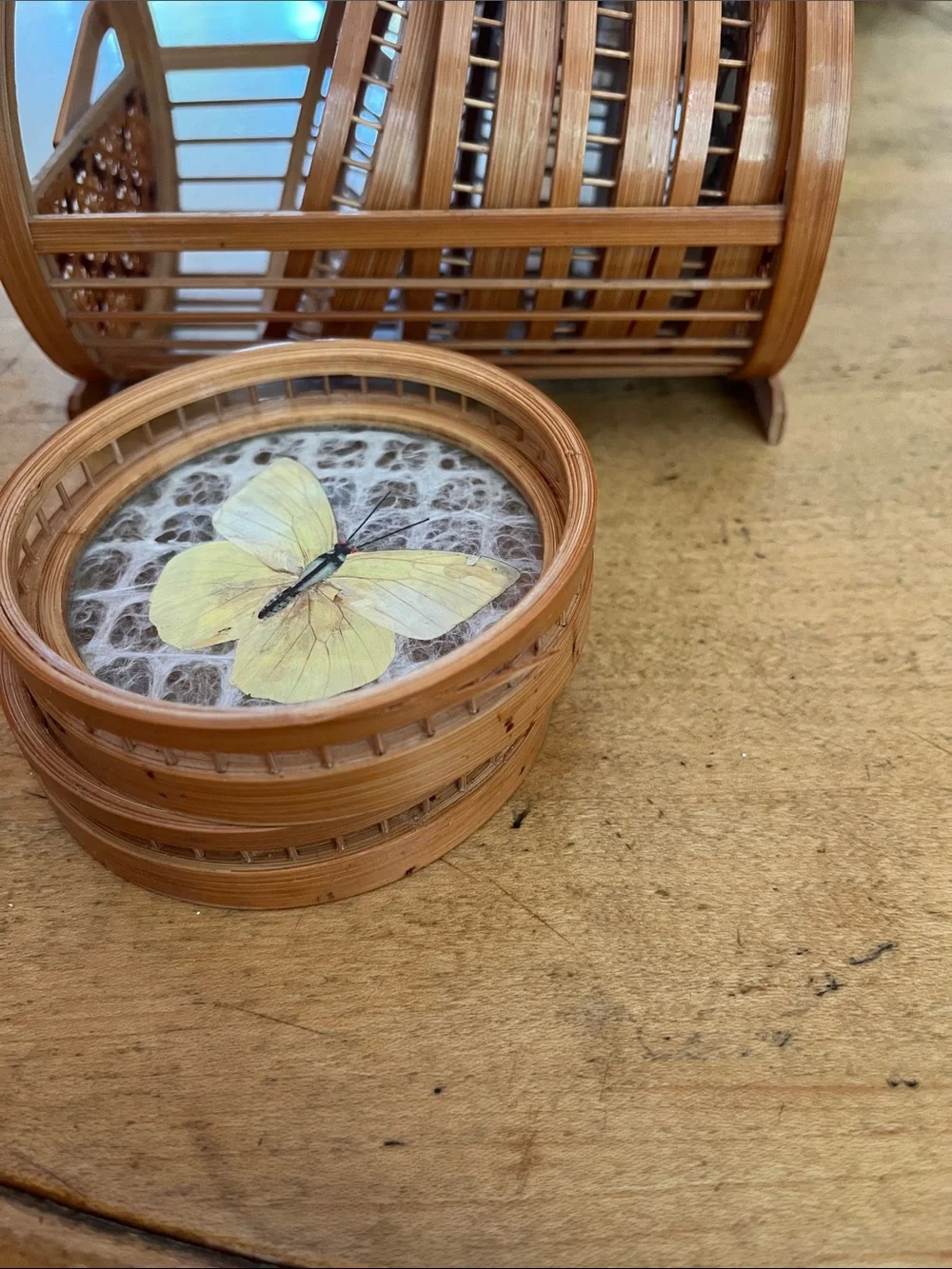 Vintage 1960s Retro Bamboo Butterfly Coaster Set six